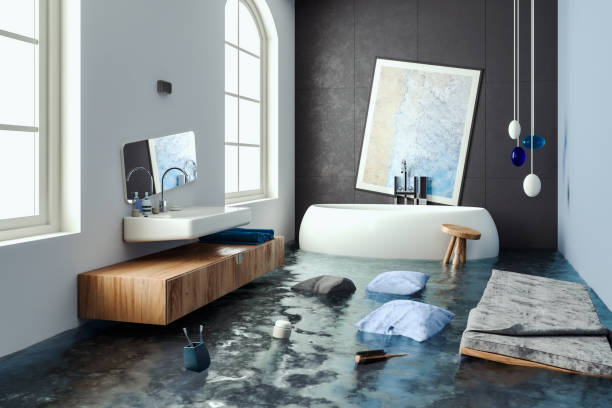 Best Mold removal after water damage  in Granite Falls, NC