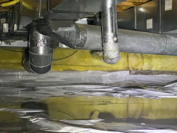 Best Ceiling water damage repair  in Granite Falls, NC