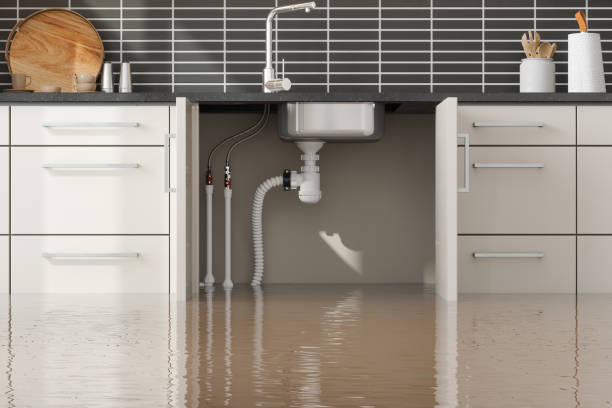 Best Flood damage cleanup  in Granite Falls, NC