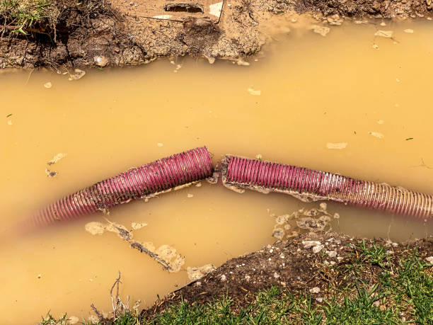 Best Professional water damage repair  in Granite Falls, NC